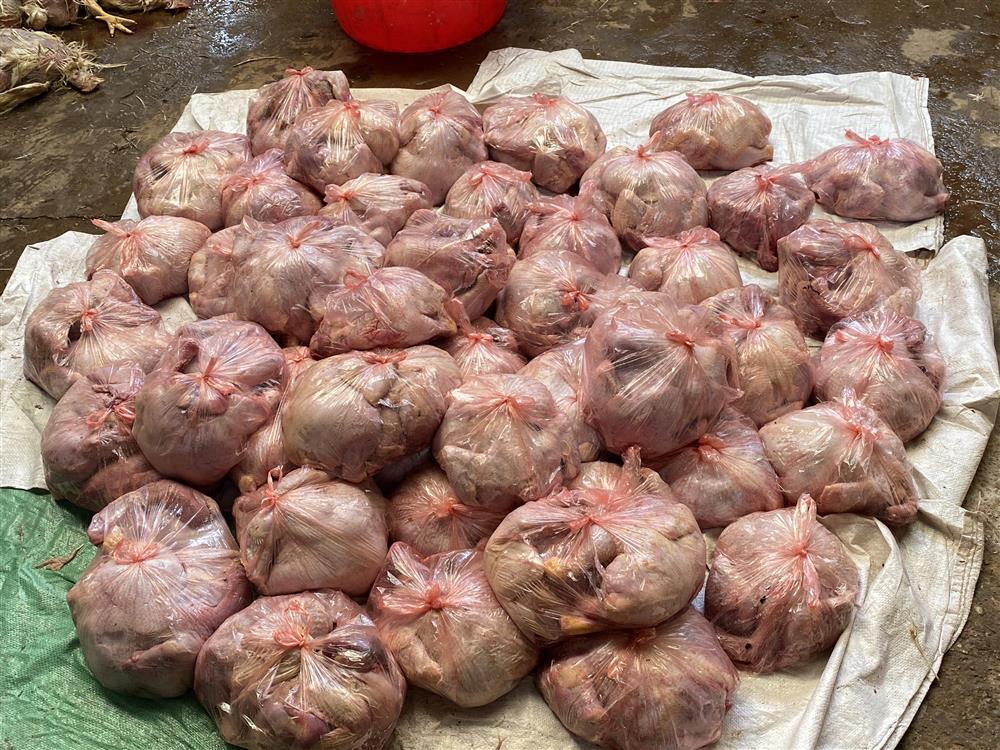Thái Nguyên: Hơn 3 tấn gà thịt bốc mùi hôi thối đã bị tiêu hủy
